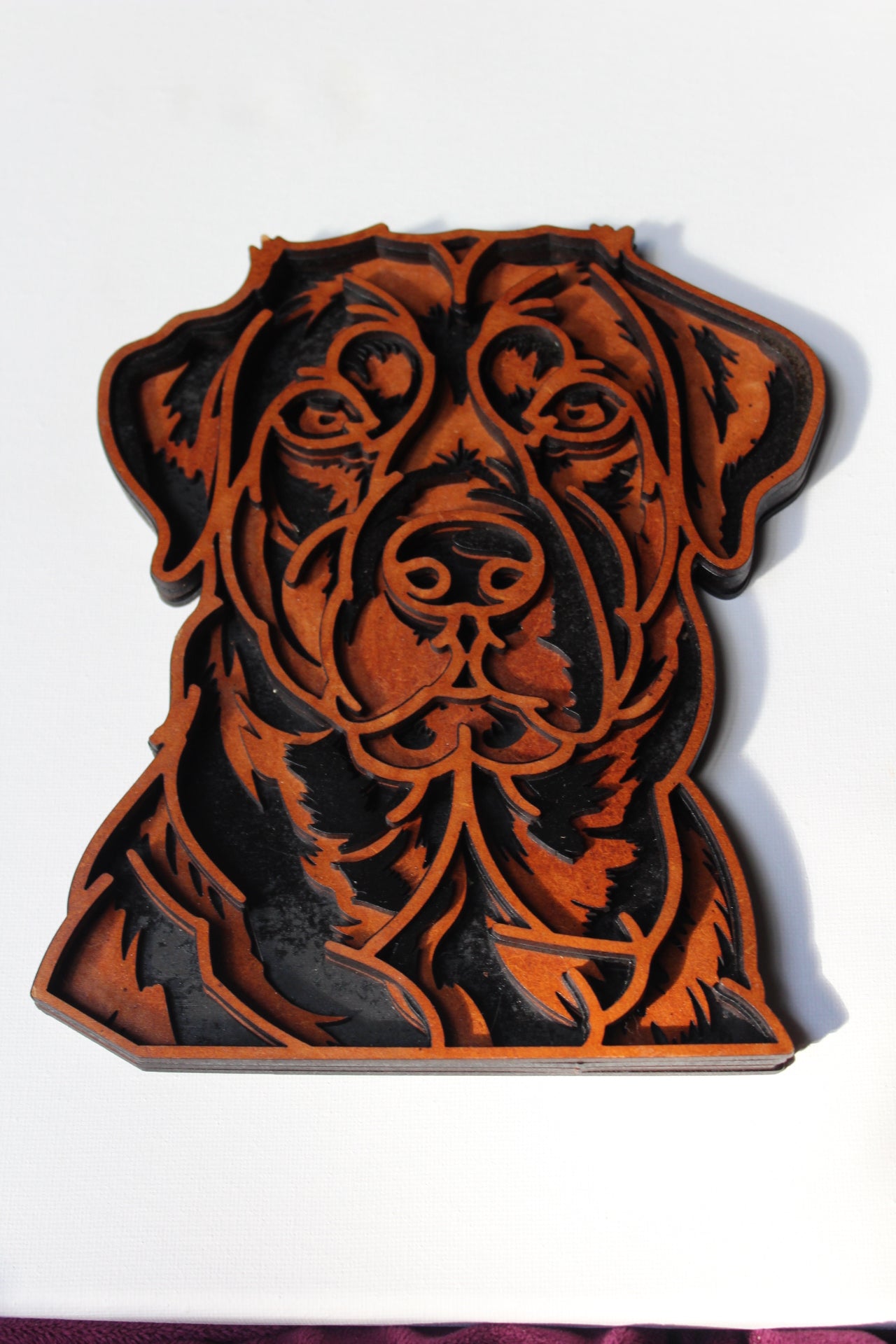 Rottweiler Dogs 5 layers